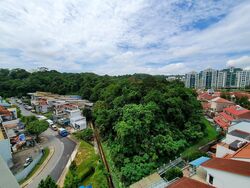 Natura@Hillview (D23), Apartment #555043641